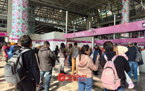 谢因鲍姆：这是一种不同视角，属于世界一流水平的交通系统
