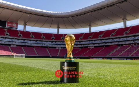墨西哥申办世界杯或可带来27亿美元收益——德勤报告