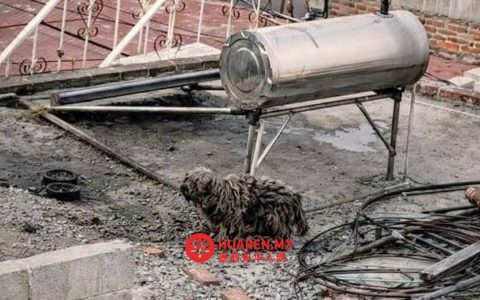 特拉斯卡拉州圣安娜-恰乌特姆潘一住宅内发现虐待动物行为