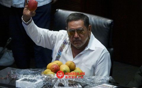 费利克斯·萨尔加多表示将尊重莫雷纳党对州长候选人的决定