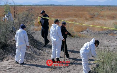 帕特罗西尼奥加大残骸打捞力度，Vida集团参与救援