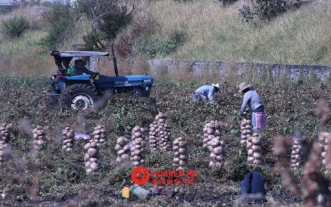 政府推劳动证书制度 助20万农业工人正规就业