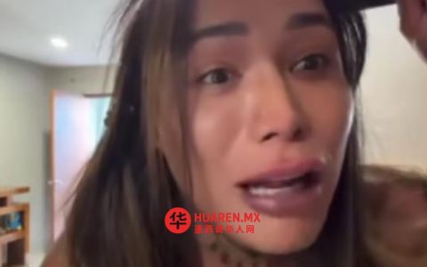 有人试图闯入卡琳娜·托雷斯（Karina Torres）家中，称只是“打个招呼” | 视频