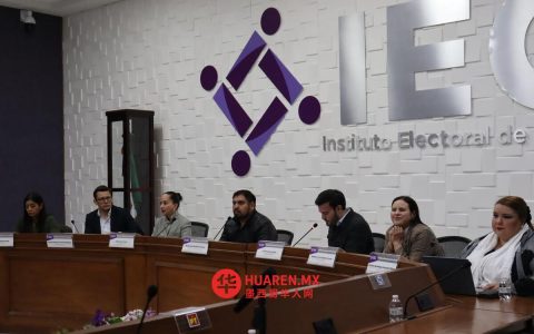 IEC批准三名独立候选人，驳回另两名申请
