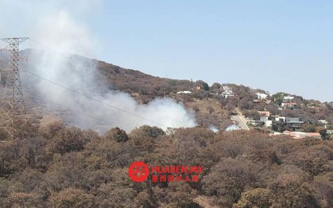 埃多梅克斯州森林火灾频发，居全国之首
