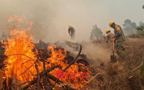 普埃布拉维森特·格雷罗地区森林火灾仍在蔓延