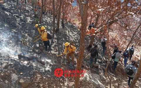 科斯福控制瓦哈卡州多起森林火灾