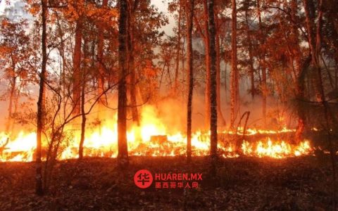 森林火灾持续肆虐，民防部门应对气候变化挑战