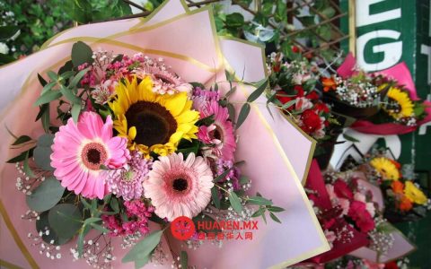 托雷翁市情人节鲜花涨价，价格如下：