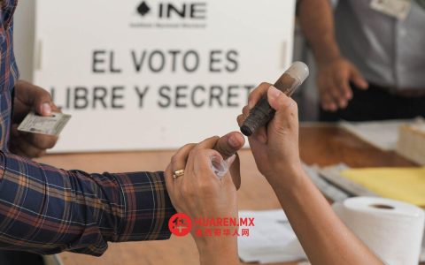 重返各自政党的选举顾问们