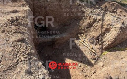 FGR查获400万升非法盗油，涉案地为戈麦斯帕拉西奥（Gómez Palacio）