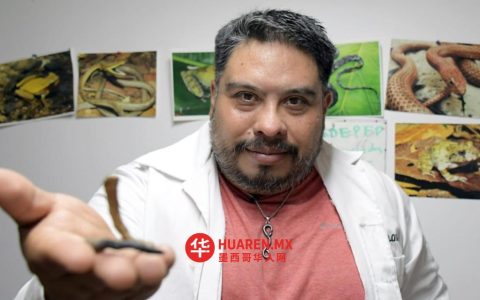 BUAP研究人员参与发现新蛇种