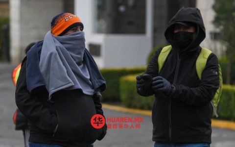 塔毛利帕斯州天气预报：2026年2月5日气温预测