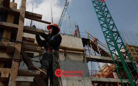 2025年墨西哥经济同比增长0.8%