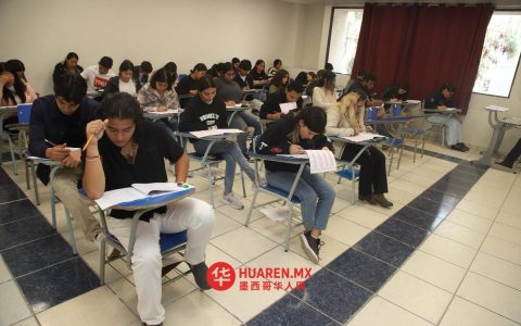 UAEH发布2026年7月至12月学期招生公告