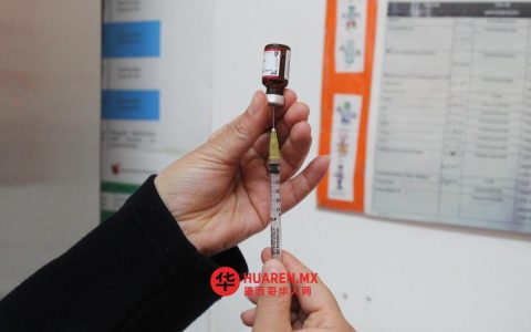 拉古纳地区学校将启动麻疹疫苗接种