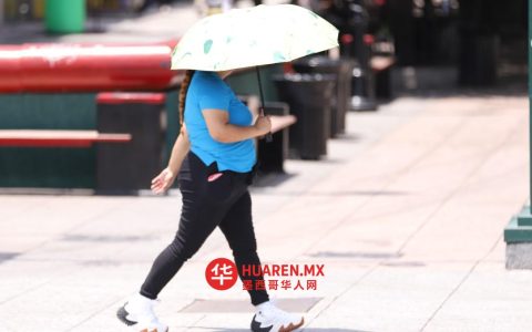 蒙特雷迎来2026年2月19日异常气候