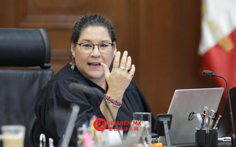 最高法院：莱妮娅·巴特雷斯正式出任代理院长