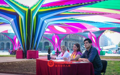 墨西哥城爱之花园：鲜花、露天电影与免费马里亚奇乐队相伴