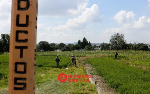普埃布拉北部山区查获27吨制毒化学品