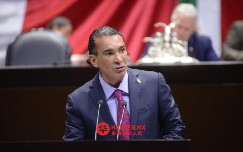 参议员推动就PVEM党选举改革提案进行表决