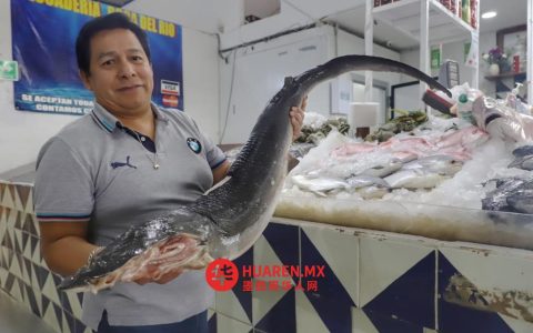 普埃布拉鱼类和海鲜市场销售额下滑