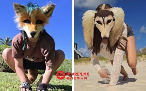 “Therian”和“Furry”有何不同？