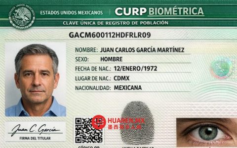 2026年克雷塔罗CURP生物识别系统：如何获取办理所需模块与工具？