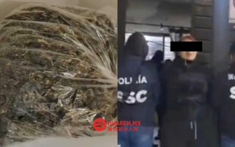 墨西哥城男子因涉嫌暴力事件被拘，其女友为“El Macero”