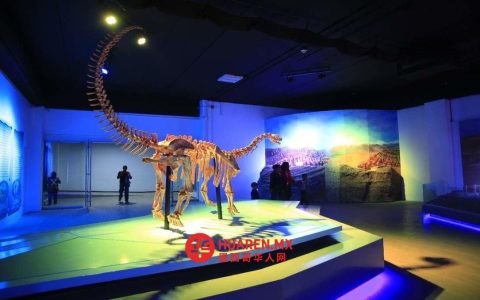 2026年普埃布拉“博物馆之夜”活动日程公布