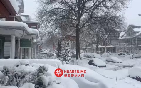 纽约因大雪取消多个航班