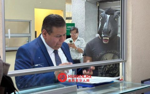 自称是动物的人士推动立法打击欺凌行为
