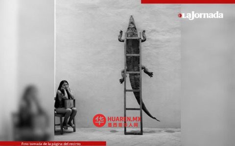 格拉西埃拉·伊图尔比德在德国首展“飞翔的眼睛”