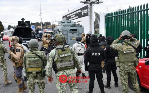 “蜂群行动”在墨西哥州展开，成为反腐新典范