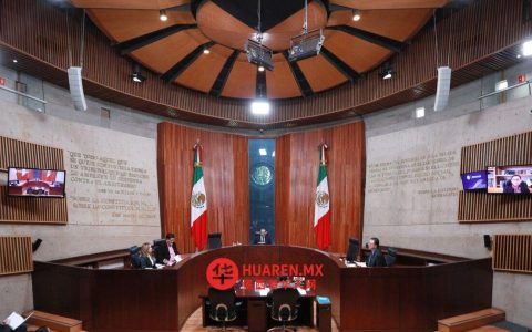 TEPJF要求国家选举院明确新政党成员登记情况