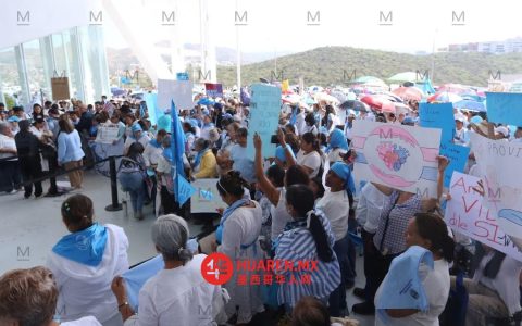 “Provida”组织发起签名活动，反对将堕胎非刑事化