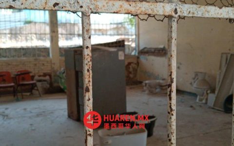 阿卡普尔科家长与教师抗议校方问题及职场骚扰指控