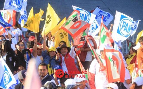 墨西哥州选民对政党失望致投票率低迷