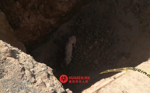 伊达尔戈州建筑工地工人救出掉入坑中的小狗