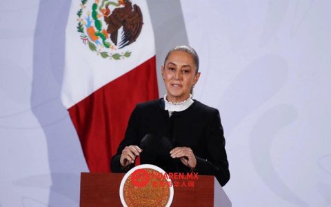 谢因鲍姆承诺：“米却肯计划”将延续至其任期结束