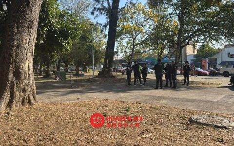 瓜达拉哈拉警方在莫雷洛斯公园搜寻尸体