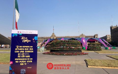 他们正为“爱情日”在索卡洛广场（Zócalo）布置场地，届时将举办多项艺术活动。