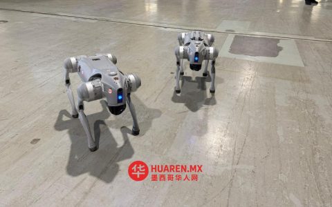 2026年世博会将展出用于安保的机器人犬
