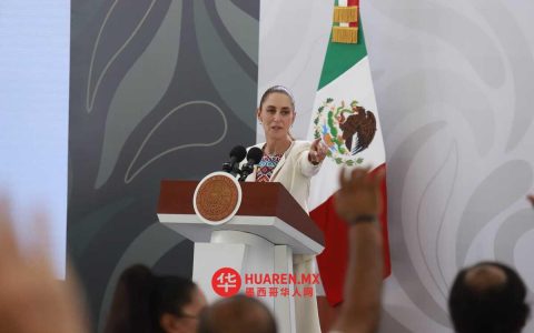 谢因鲍姆称或考虑将司法选举推迟至2028年