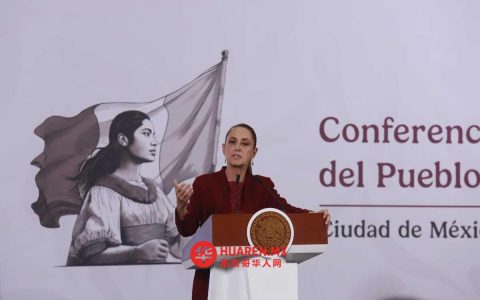 谢因鲍姆确定选举改革提案提交日期