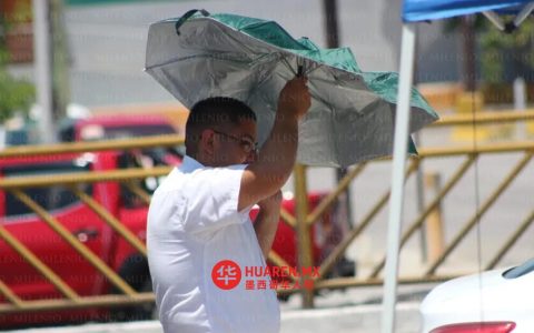 塔毛利帕斯州2026年2月10日天气预报