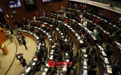参议院审议选举改革提案时 PVEM内部出现分歧