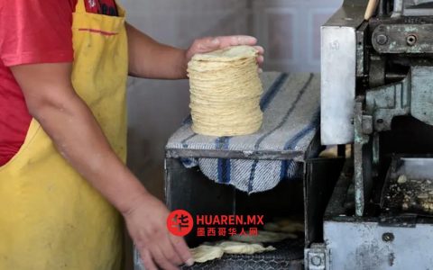 坎纳科佩与农业部联手支持新莱昂州玉米饼店