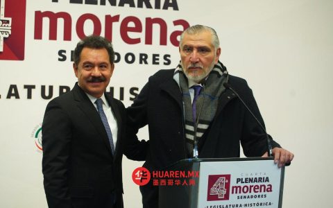 谢因鲍姆证实，亚当·奥古斯托（Adán Augusto）已辞去莫雷纳党（Morena）在参议院的协调职务。