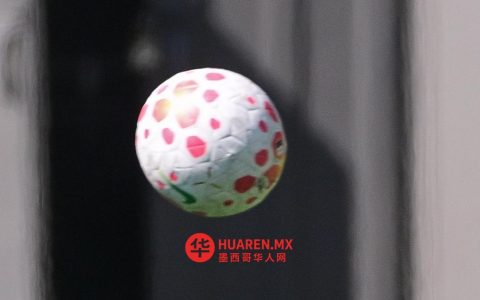 塞拉亚与韦拉克鲁斯队球迷冲突致一人死亡